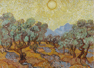 Vincent van Gogh, Olive Trees, November 1889, oil on canvas, 73,6 × 92,7 cm Minneapolis Institute of Art. The William Hood Dunwoody Fund