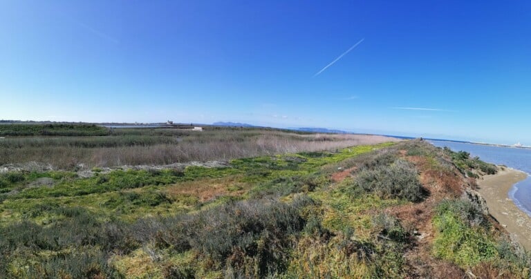 Riserva Naturale delle saline di Trapani e Paceco