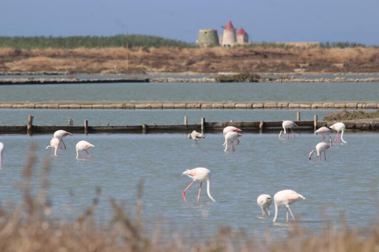 Riserva Naturale delle saline di Trapani e Paceco