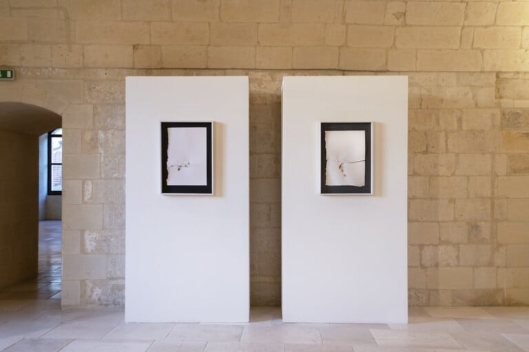 Romano Sambati. Dolore delle foglie. Exhibition view at Castello Carlo V, Lecce 2022. Photo Valeri Gaetani