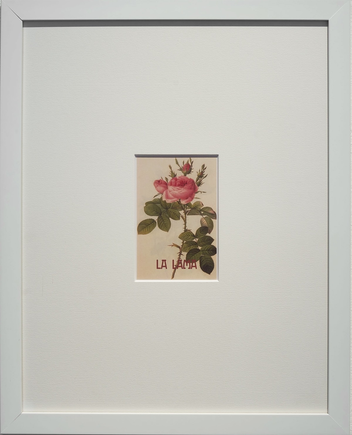 Silvia Giambrone, Sub rosa, 2022, carta oracolare, carta opaca plastificata, 50x40 cm (incorniciata)