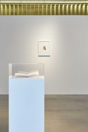Silvia Giambrone. Fighting Words. Exhibition view at Prometeo Gallery, Milano 2022