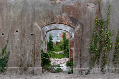 La Fondazione Sandretto all’Isola di San Giacomo a Venezia. Ph. Irene Fanizza