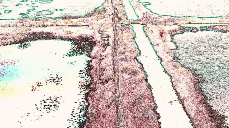 MAXXI_ChainReaction_RuinsCollective_StillVideo Ruins Collective: Teta Tsybulnyk, Elias Parvulesco, Svitlana Pototska, Zong, 2019 - still da video
Courtesy gli artisti