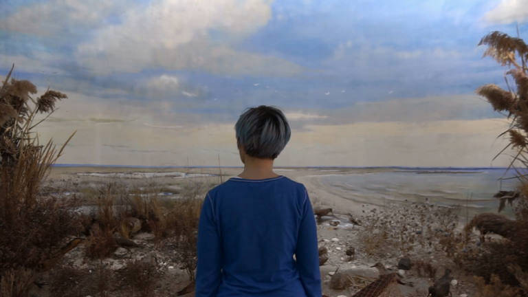 MAXXI_ChainReaction_ZoiaLaktionova_StillVideo Zoia Laktionova, Diorama, 2018 - still da video
Courtesy l’artista