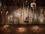 'The Catacombs of the Dead Street Dogs', Jan Fabre [Foto Biennale di Venezia 2017, credits Pat Verbruggen]