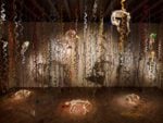 'The Catacombs of the Dead Street Dogs', Jan Fabre [Foto Biennale di Venezia 2017, credits Pat Verbruggen]