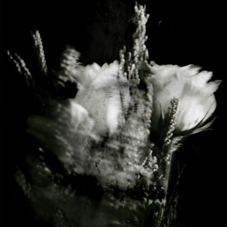 Bound © Simone Tacconelli
