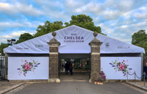 Le immagini dal Chelsea Flower Show a Londra