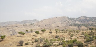 Giulia Ticozzi, Rione Capo d'Armi, Motta San Giovanni. Campagna fotografica The Third Island (2015) curata da Antonio Ottomanelli