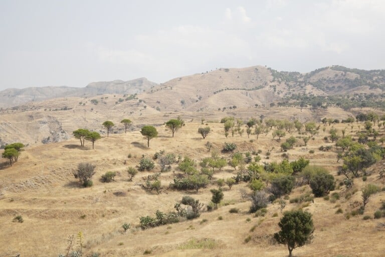 Giulia Ticozzi, Rione Capo d'Armi, Motta San Giovanni. Campagna fotografica The Third Island (2015) curata da Antonio Ottomanelli