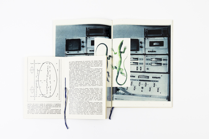 “Visioni Oblique”, il progetto di libri d’artista che riflette sul terremoto del Belìce in Sicilia