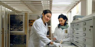 MUFOCO, archivio