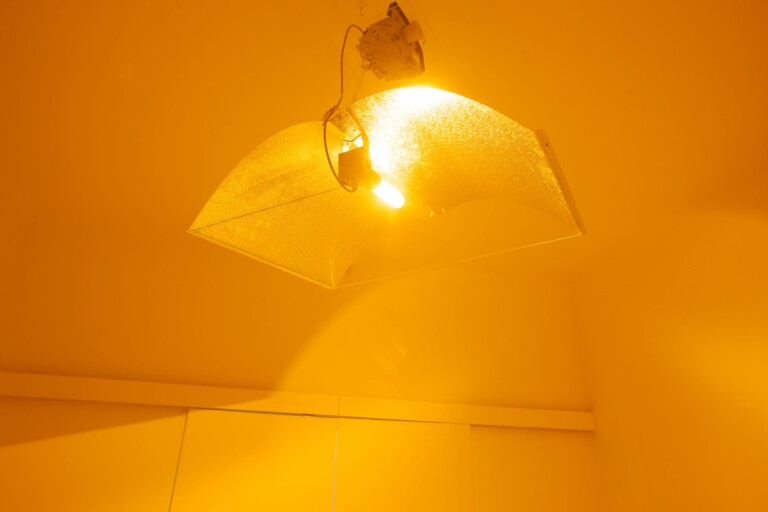 Mariona Berenguer, SELBSTBLÜHEND, 2021, sodium light, reflector, heat and smell of burning, 100 x 100 x 70 cm