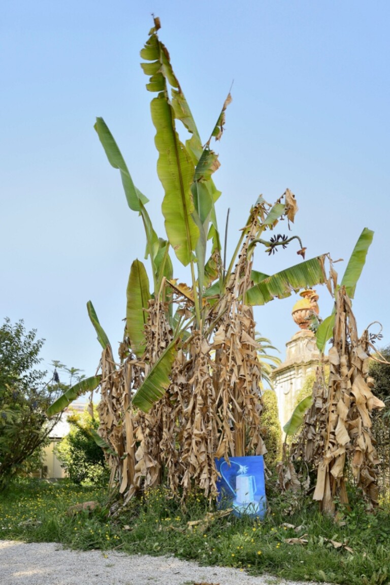 Mostra universitaria della John Cabot University di Roma nell’Orto Botanico