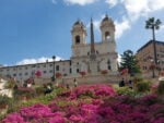 Orticola di Roma Scalinata Trinità dei Monti