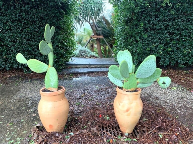 Radicepura, Giarre. Photo Claudia Zanfi