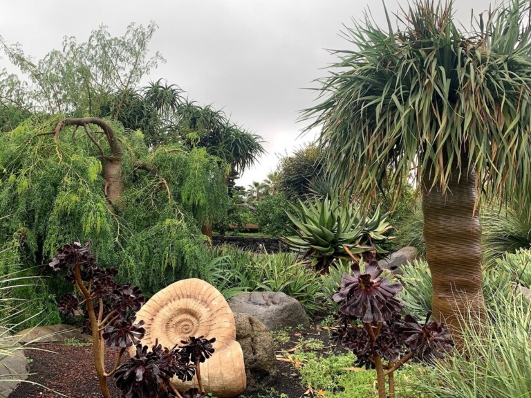 Radicepura, Giarre. Photo Claudia Zanfi