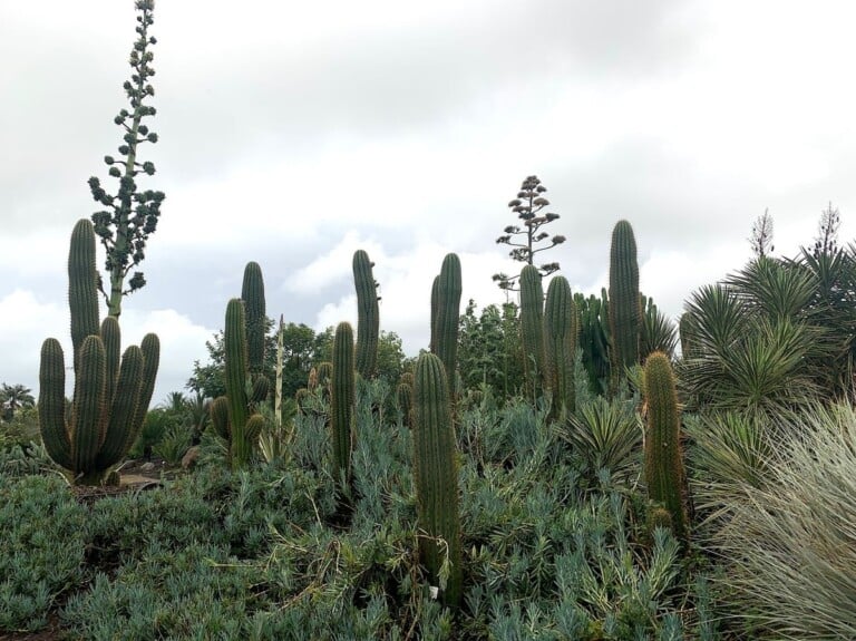 Radicepura, Giarre. Photo Claudia Zanfi