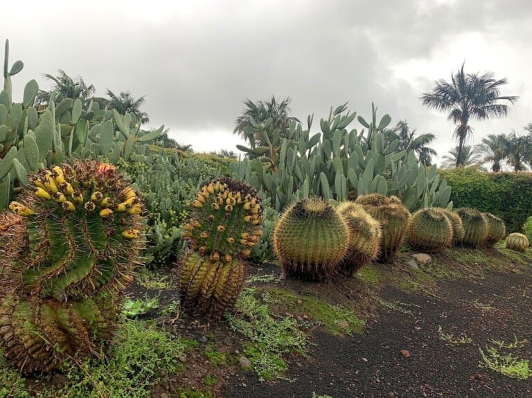 Radicepura, Giarre. Photo Claudia Zanfi