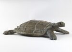 Sirio Tofanari, Tartaruga, 1920 ca., terracotta, cm 16x65. Courtesy Galleria del Laocoonte, Roma-Londra