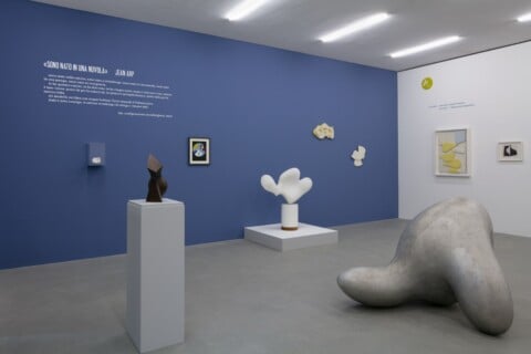 Veduta della mostra “Sono nato in una nuvola” Jean Arp, Fondazione Marguerite Arp, Locarno. Foto Roberto Pellegrini, Bellinzona