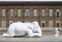 Animali a corte. Nazareno Biondo. Musei Reali, Torino 2022