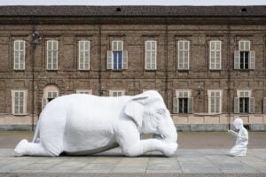 Un’invasione di animali colorati ai Musei Reali di Torino