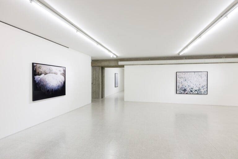 Carlo Valsecchi. Bellum. Exhibition view at Collezione Maramotti, Reggio Emilia 2022. Photo Roberto Marossi