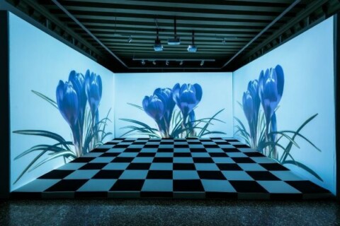 Didier e Valentine Guillon Blessing in Disguise Blue Flowers exhibition view at Palazzo Bonvicini Venezia 2022. Photo Francesco Allegretto