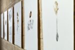 Giovanni Gaggia, Sanguinis Suavitas. Installation view at Museo Riso, Palermo 2022. Photo Michele Alberto Sereni