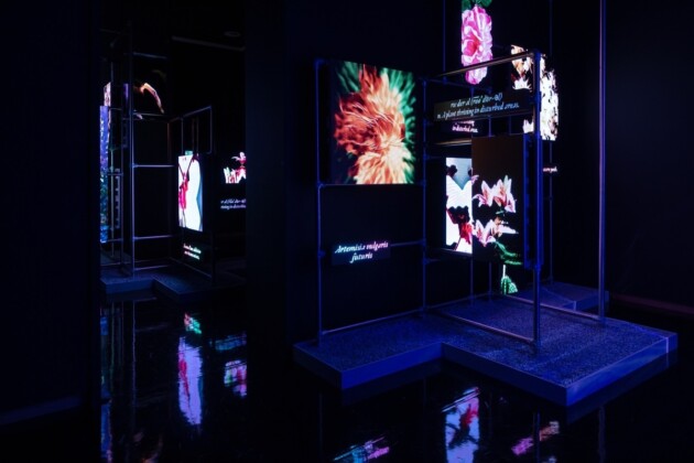 Hito Steyerl, Power Plants, 2019. Installation view at Stedelijk Museum, Amsterdam 2022. Courtesy the artist, Esther Schipper, Berlin and Andrew Kreps Gallery, New York. Photo Peter Tijhuis © Hito Steyerl