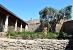 Il giardino della casa di Cerere CC Parco Archeologico di Pompei
