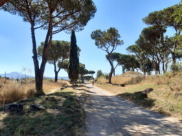 Il tratto dell'Appia antica interessato dall'intervento