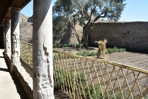 Il giardino della casa di Cerere CC Parco Archeologico di Pompei