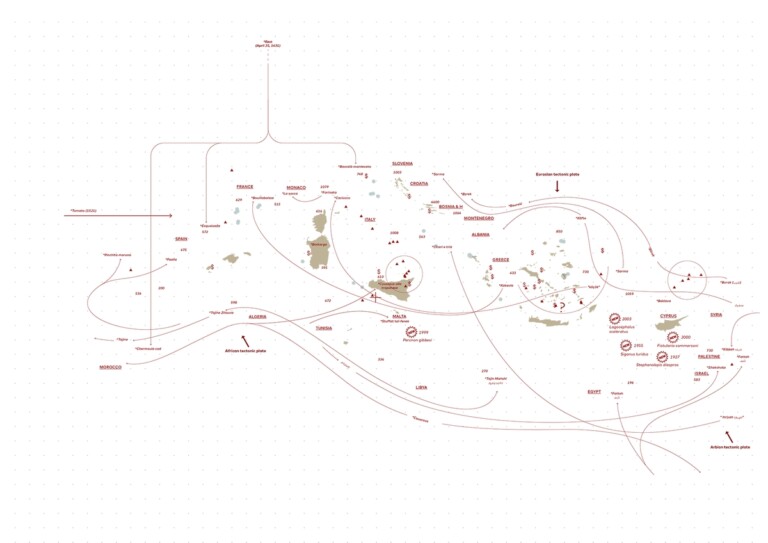 Migrating Mediterranean, 2022. Openfabric