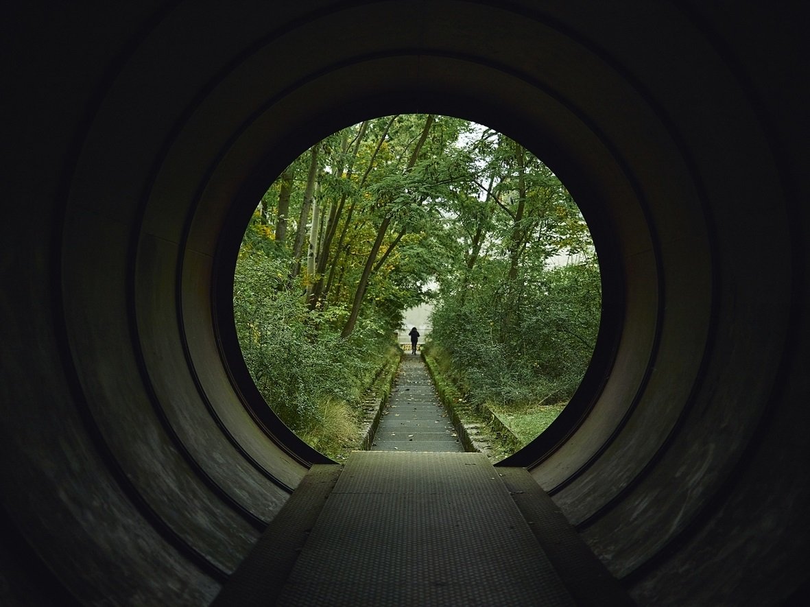 Natur Park Schöneberger Südgelände, Berlino, Premio Internazionale Carlo Scarpa per il Giardino 2022. Photo Marco Zanin, Fabrica, per Fondazione Benetton Studi Ricerche, Premio Internazionale Carlo Scarpa per il Giardino