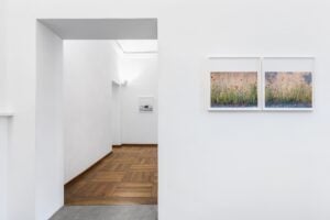 Un anno in Emilia Romagna. Le foto di Paola De Pietri in mostra a Torino