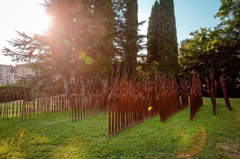 Parco della Filandetta, ph. Mattia Mionetto