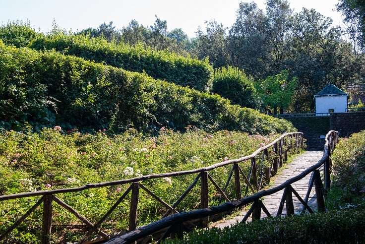 Parco di Pinocchio e Giardino Garzoni, viale che porta alla casa della fatina al parco di pinocchio