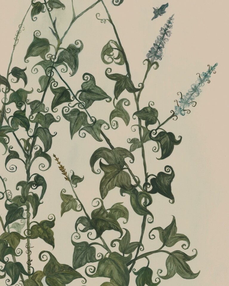 Portaluppi's Herbarium