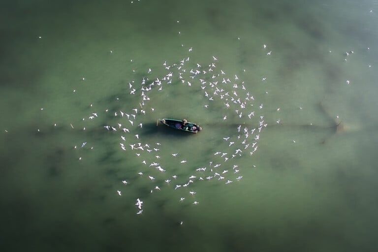 Stefano Stefanoni La danza dei gabbiani, Lago Trasimeno, San Feliciano (PG)