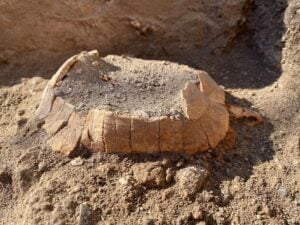 La tartaruga ritrovata a Pompei: il Direttore Gabriel Zuchtriegel racconta la scoperta