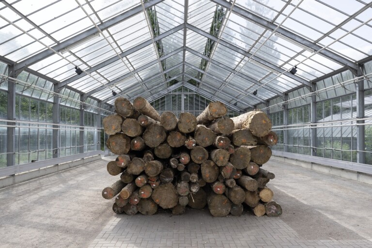 documenta fifiteen. Más Arte Más Acción (MAMA), Whispers of the Bark Beetles, 2022, installation view, Greenhouse, Kassel, 2022. Photo Nils Klinger