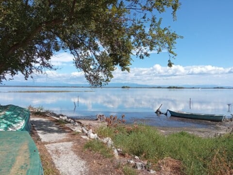  Isola di Anfora (Grado)