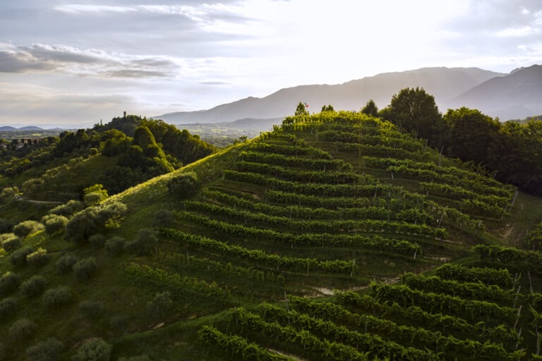 Asolo Prosecco, Estate