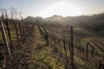 Colline di Asolo Prosecco