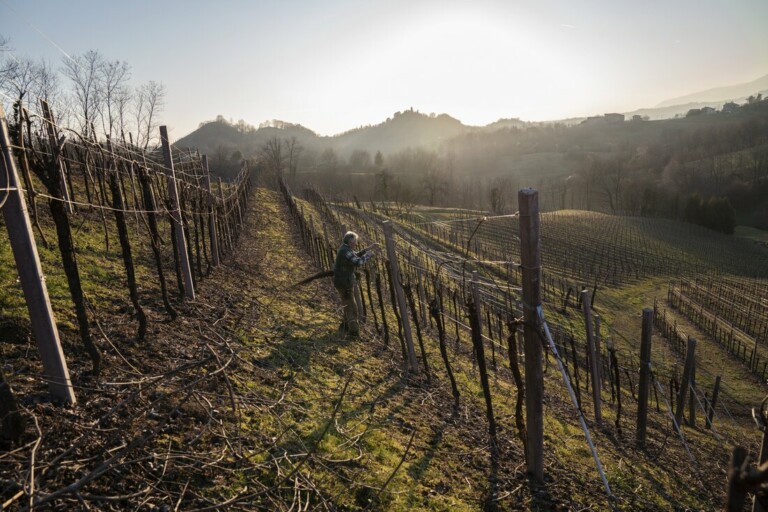 Colline di Asolo Prosecco