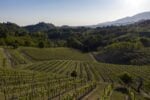 Colline di Asolo Prosecco