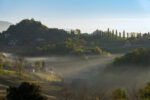 Colline di Asolo Prosecco